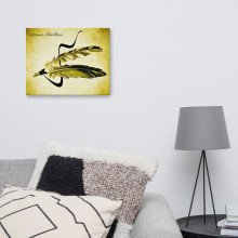 Warrior Feathers Canvas